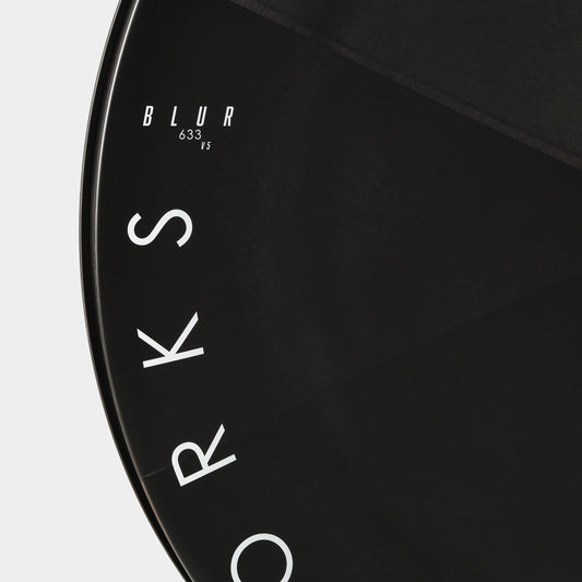 PRINCETON BLUR V5 REAR DISC